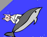 llatos - Cat on a dolphin