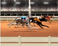 Greyhound racing llatos HTML5 jtk