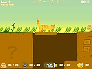 llatos - Orange cat adventure