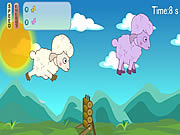 Running sheep online jtk