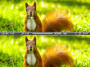 Squirrel difference jtk
