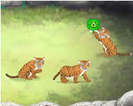 llatos - Tiger nursery