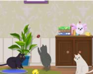Cat lovescapes online