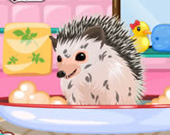 Cute hedgehog care llatos jtkok