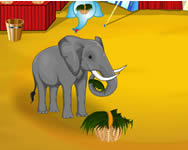 llatos - Elephant circus