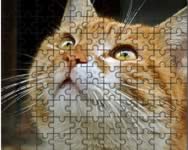 Jigsaw puzzle 2 llatos HTML5 jtk