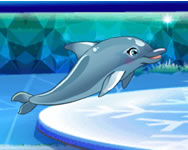 My dolphin show 8 HTML5 llatos HTML5 jtk