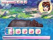My cool hippo online jtk