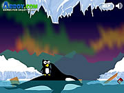 llatos - Peter the penguin